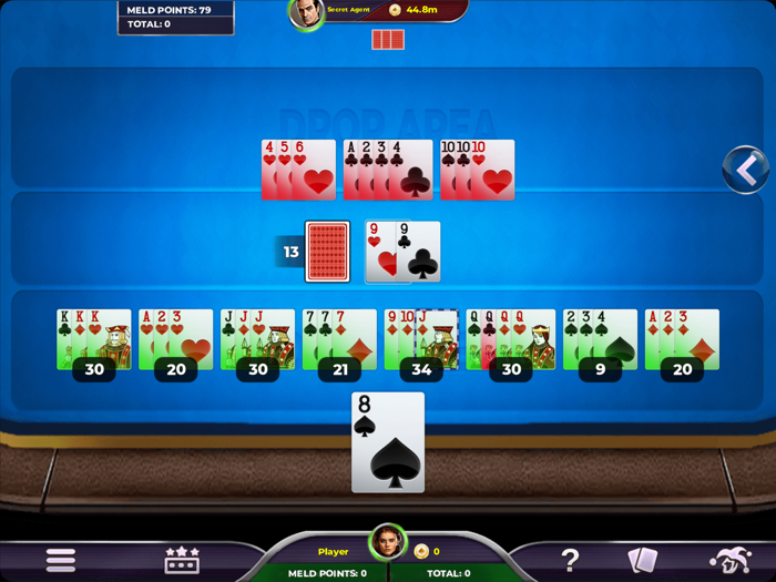 Rummy 500 - Card Game