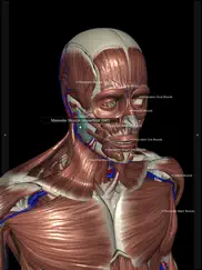 3d human anatomy introduction ipad images 2