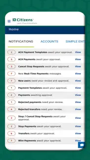 citizens cash flow essentials™ iphone screenshot 2