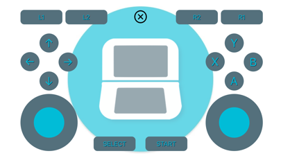 DS - Dual Screen for Gamepadのおすすめ画像3