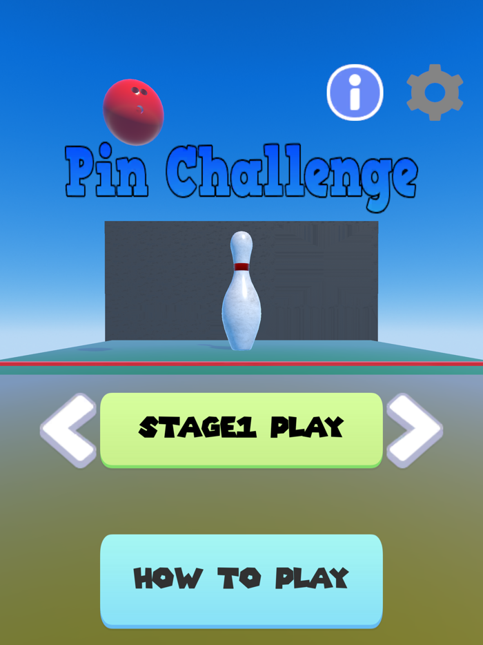 PinChallenge