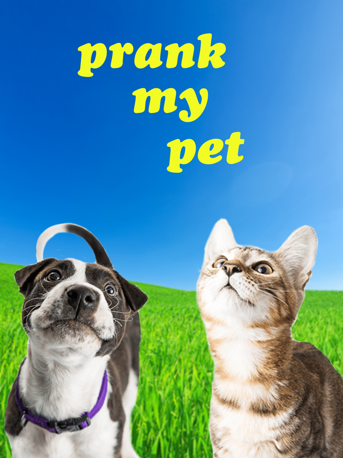 Prank My Pet