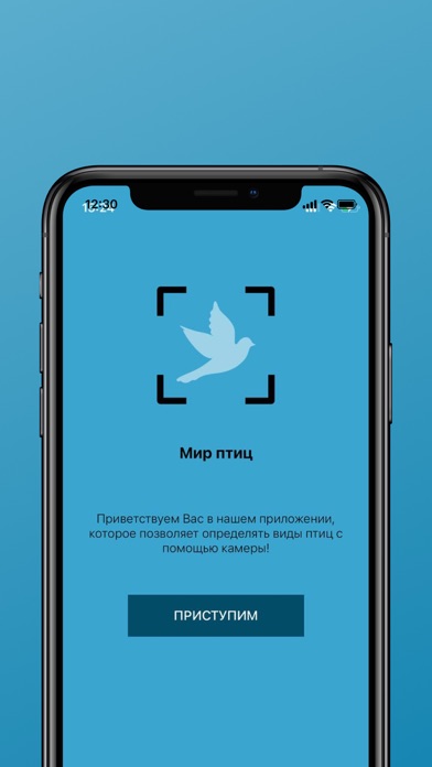 Мир птиц Screenshot