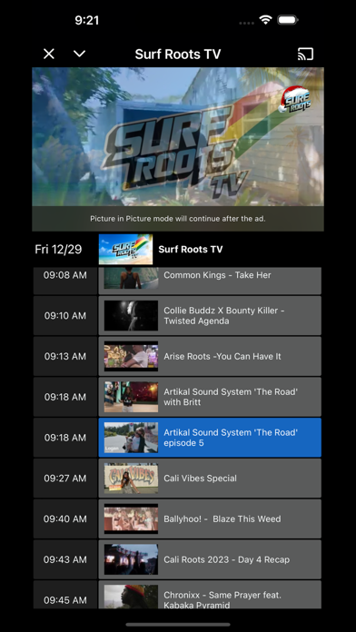 Surf Roots TV Reggae Party! Screenshot
