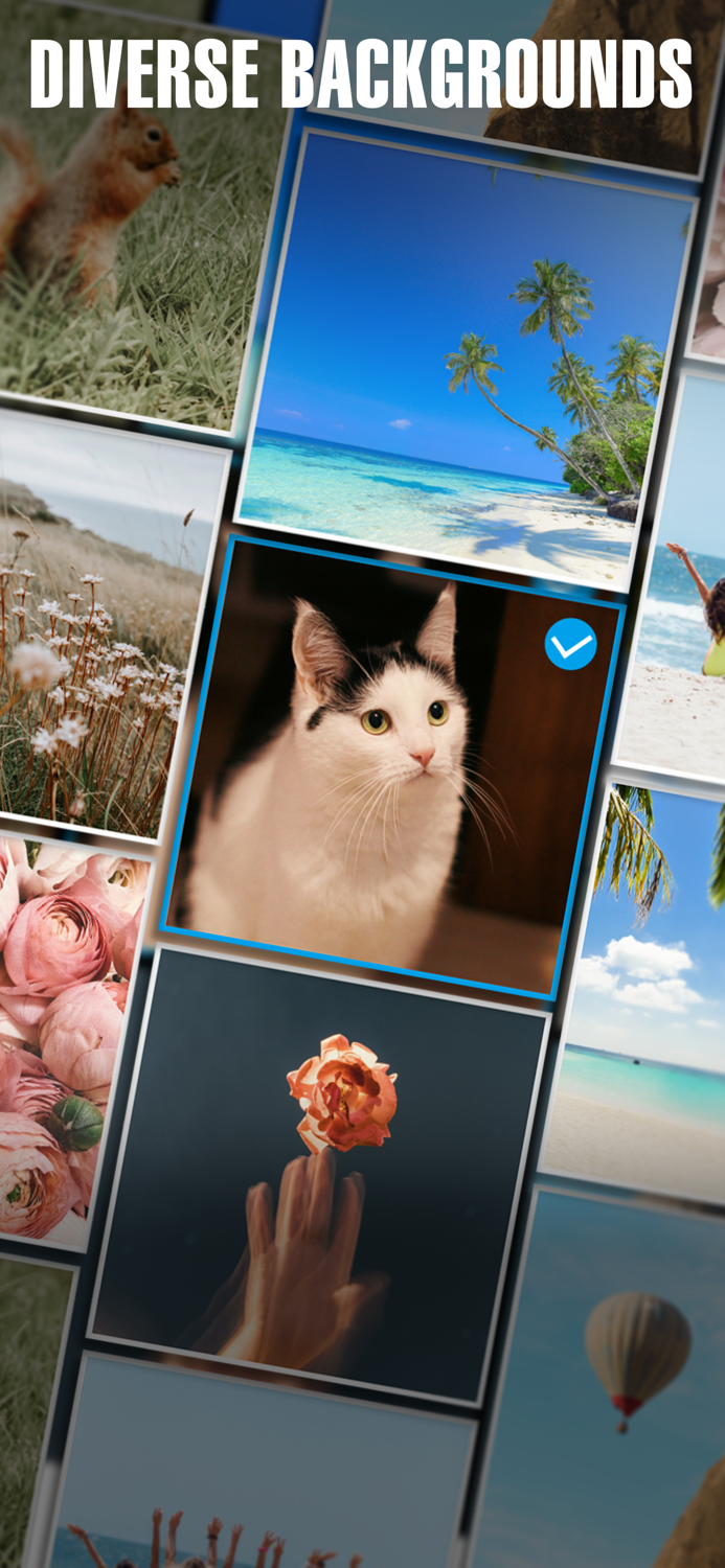 Text on Photo Text Editor