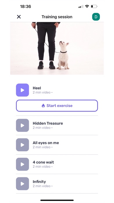 Pawmatix Screenshot
