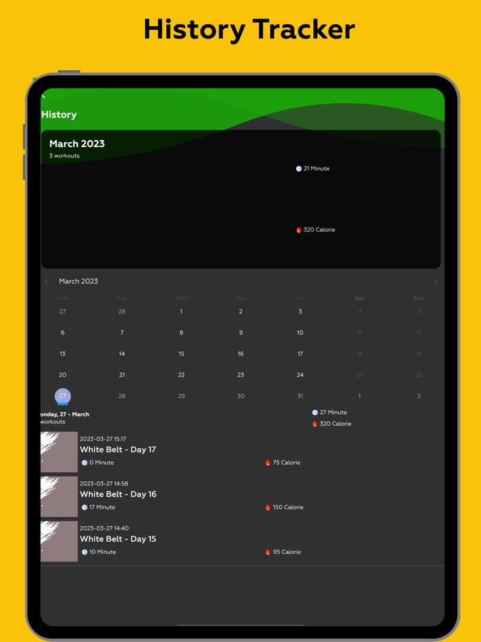 Karate Workout - Master Karate