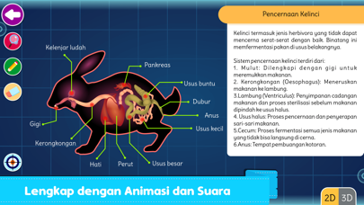 Marbel Sains : Anatomi Hewanのおすすめ画像5