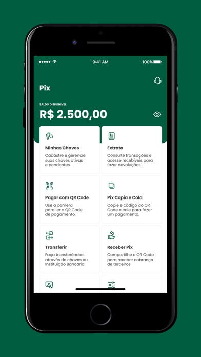 Agrofel Bank Screenshot