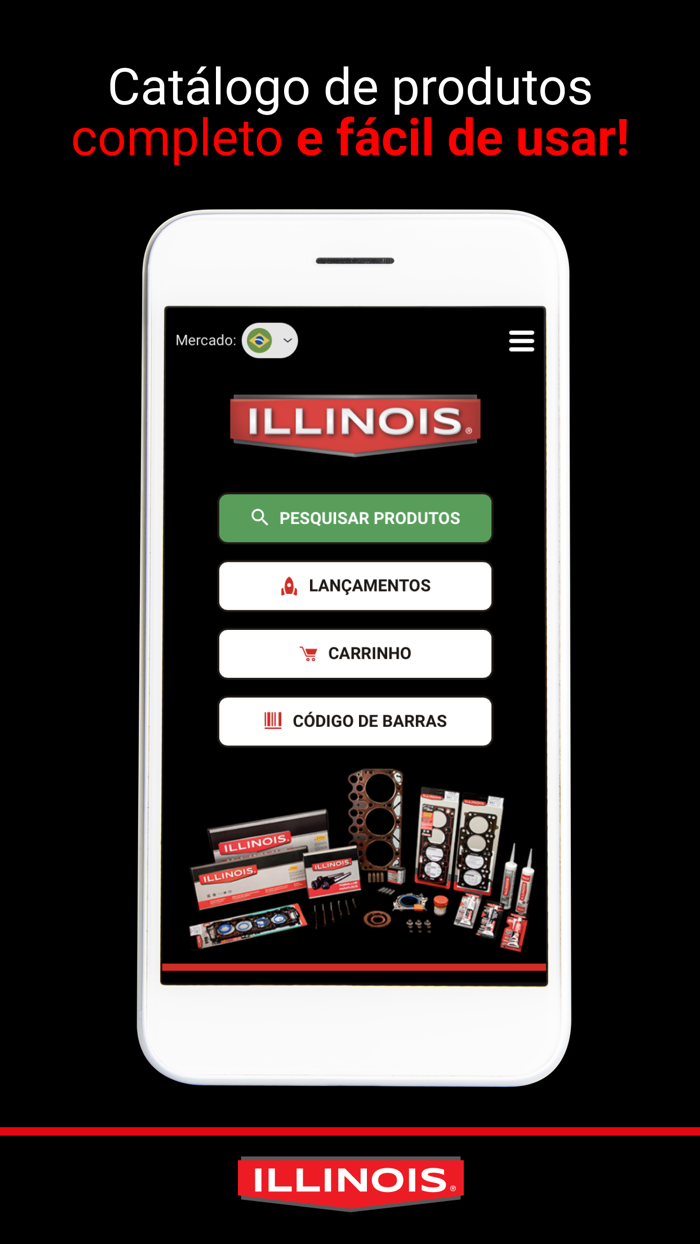 Illinois catálogo Ideia 2001