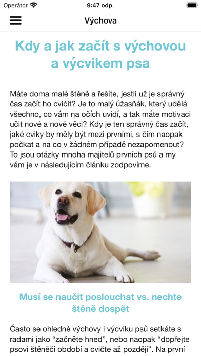 Happy Dog CZ Screenshot