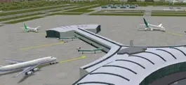 Game screenshot Airport Madness 3D 2 mod apk