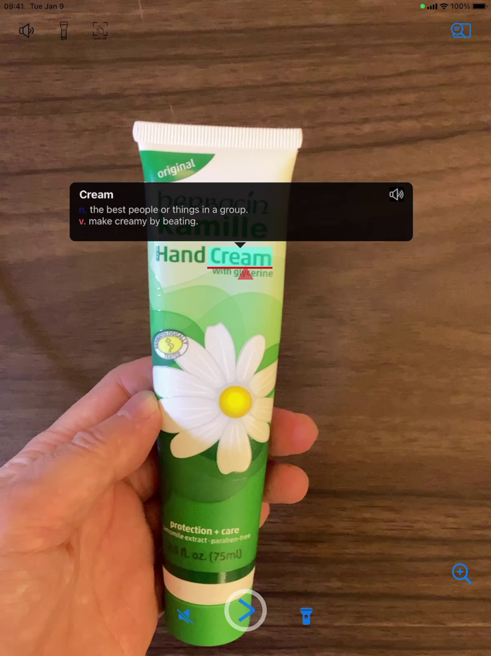 Camera Dictionary with WordNet