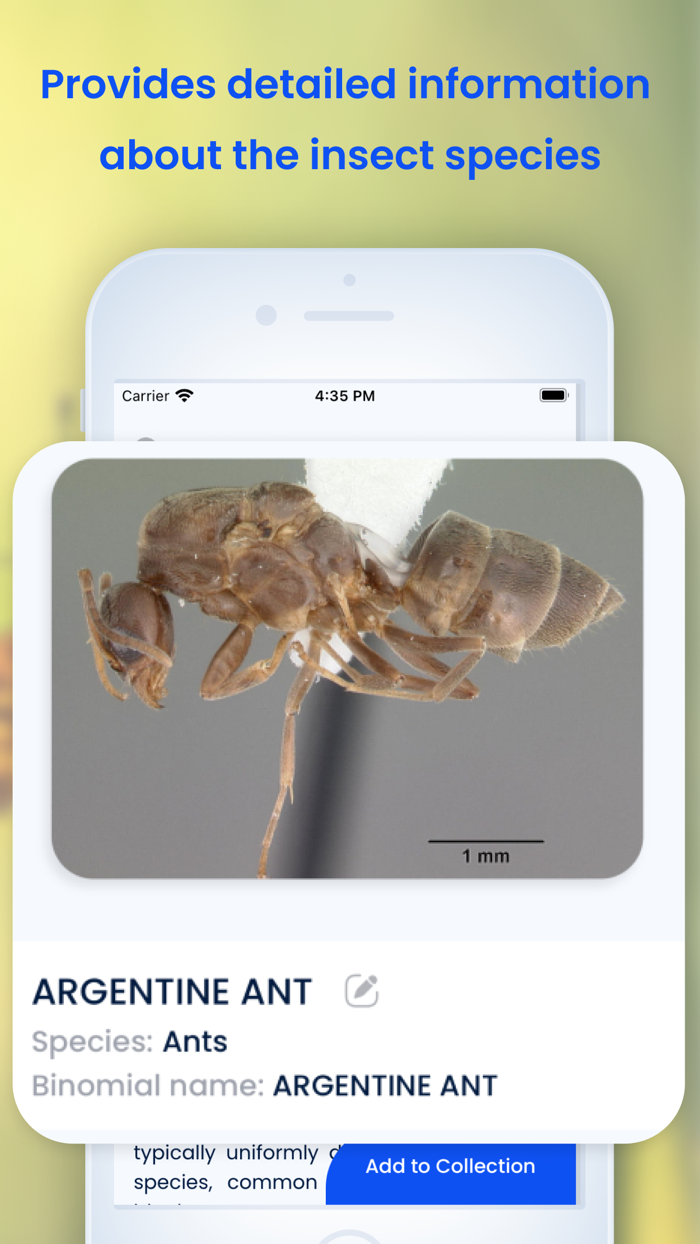 Insect ID Bug AI