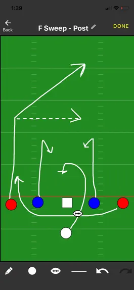 Game screenshot Flag Football Play Caller hack