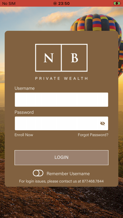 NB Private Wealth Screenshot