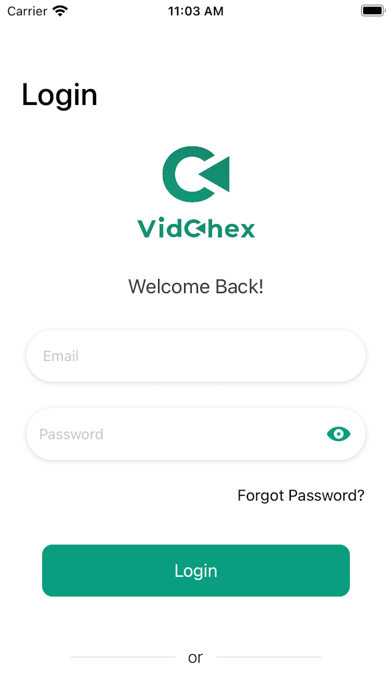 VidChex Screenshot