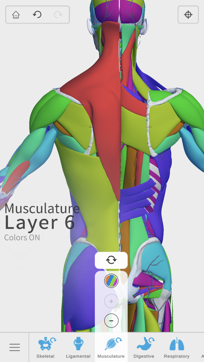 Visual Anatomy 3D - Human