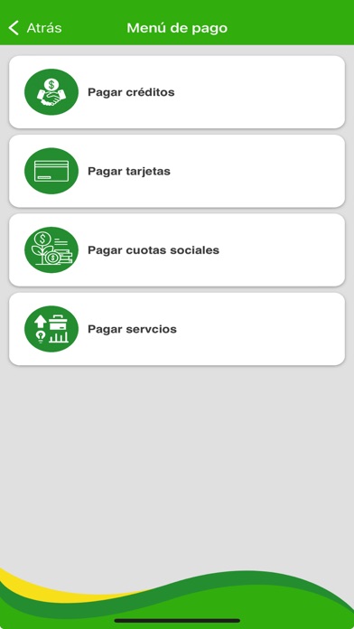 Cooperativa Reducto Ltda. Screenshot