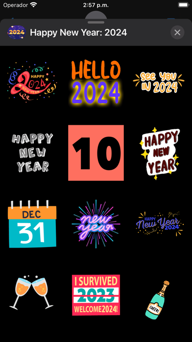 Screenshot #3 pour Happy New Year: 2024