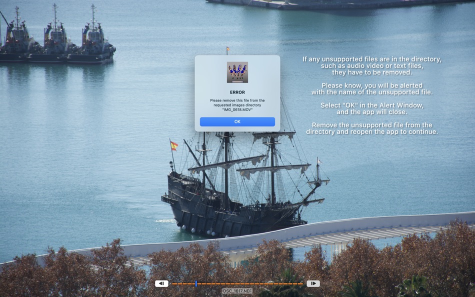#3. MyArtSlider (macOS) 由: Pirate's Moon, Inc.