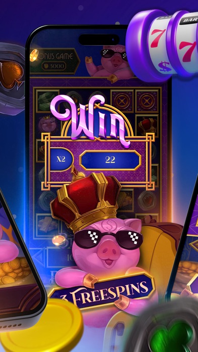 VanWinCasino Screenshot