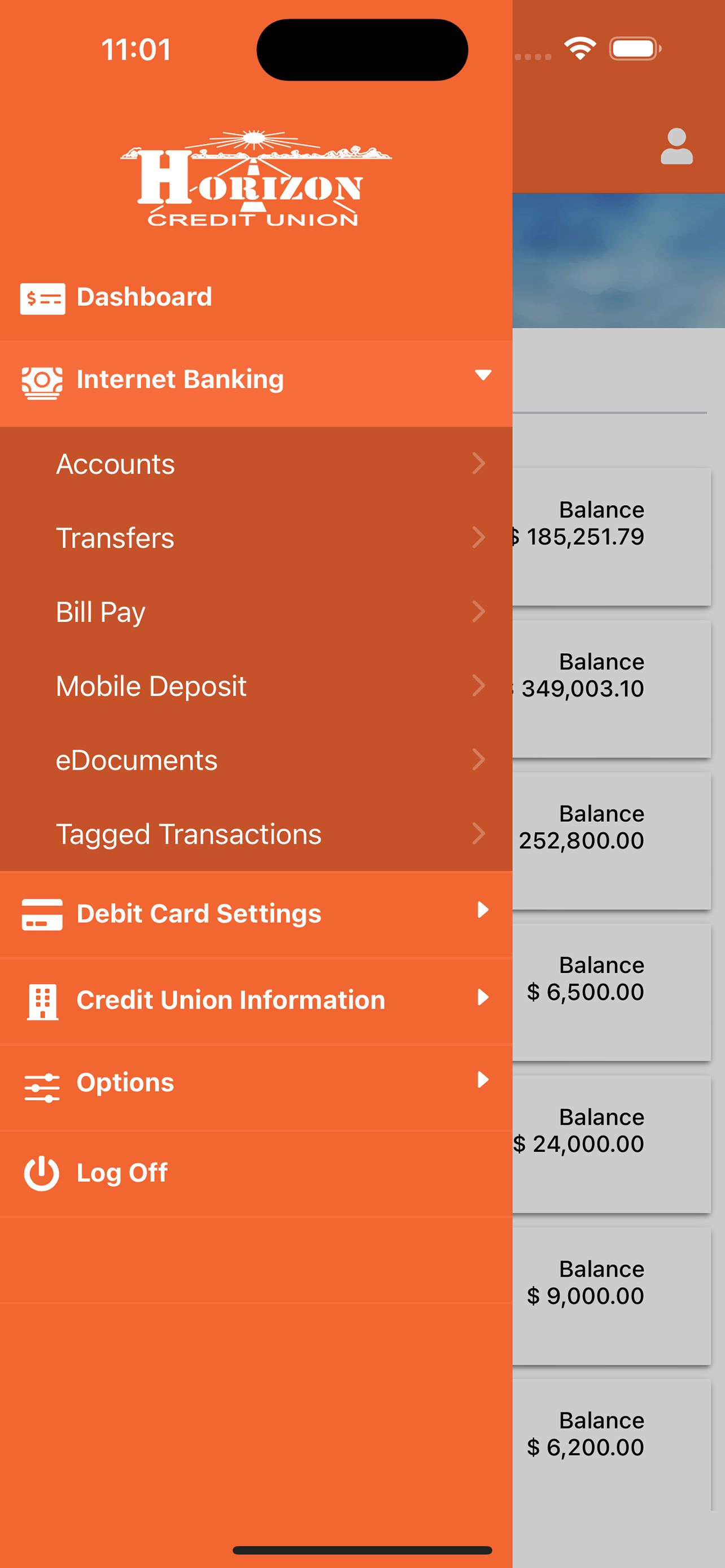 HCU Mobile Branch