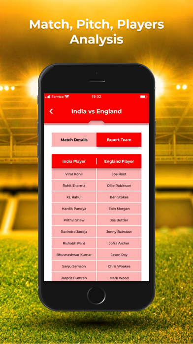 Dream Team 11 - Live Score App Screenshot