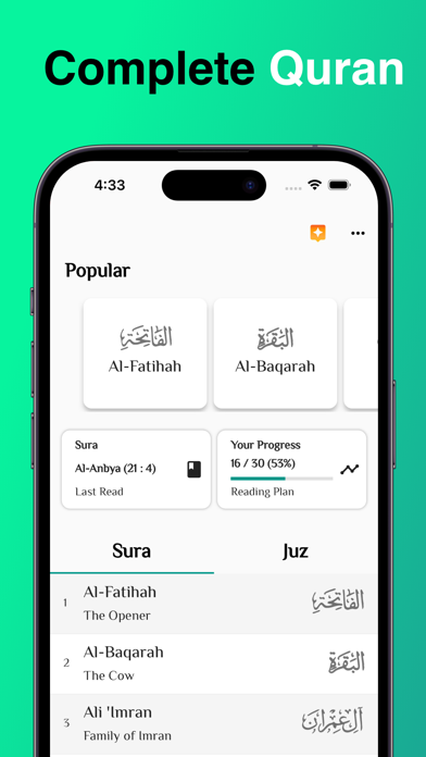 Al Quran Pro by Muslimeen Screenshot