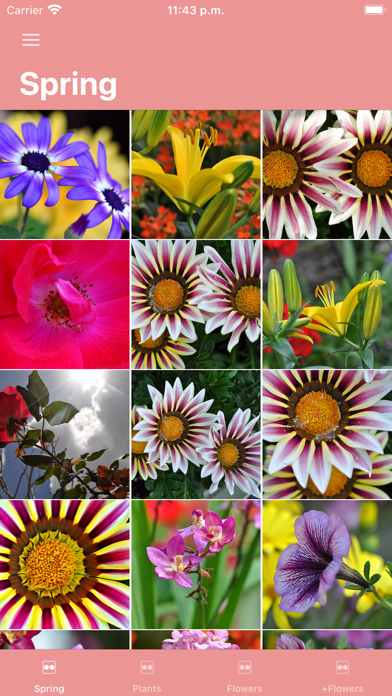 PicFlowers: Flowers Images App Screenshot