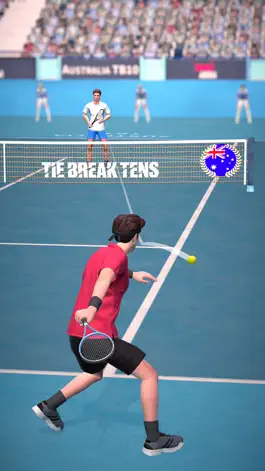 Game screenshot Tennis Arena mod apk