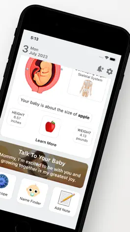 Game screenshot Pregnancy Tracker - Mia apk