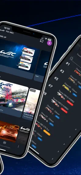 Game screenshot FIA WEC TV apk