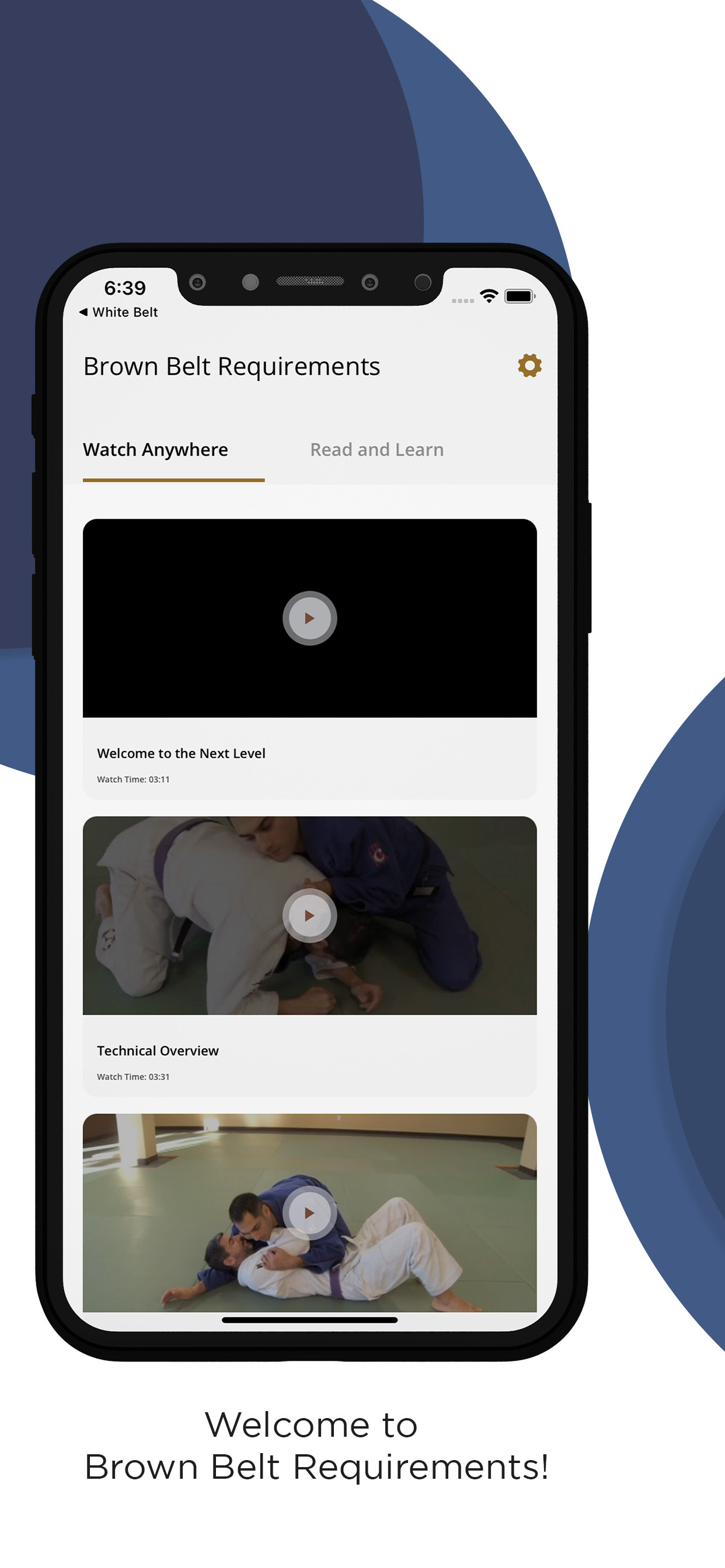 BJJ Brown Belt Requirements