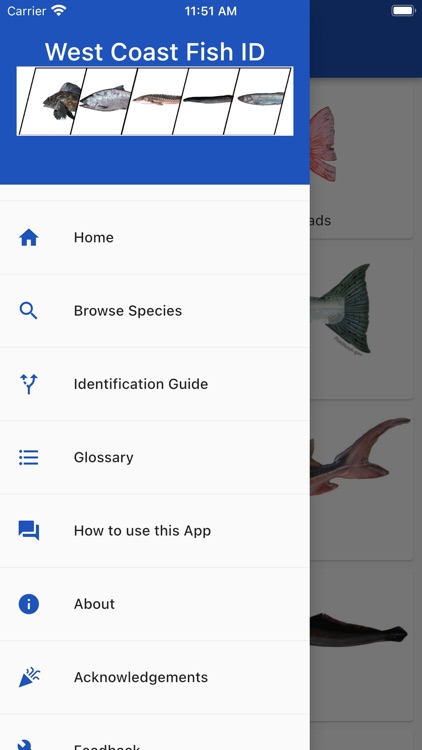 West Coast Fish ID screenshot-3