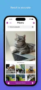 PicQuery-AI Photo finder screenshot #4 for iPhone