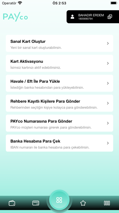 PAYco Screenshot