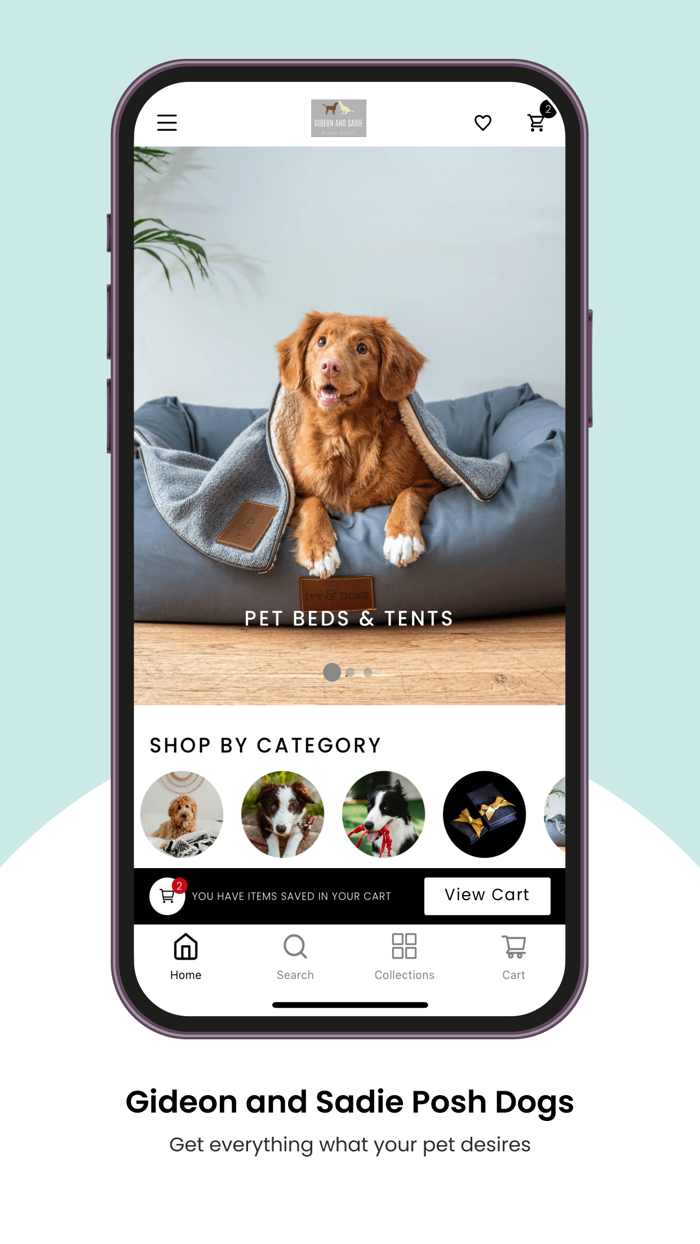 Gideon and Sadie Posh Dogs