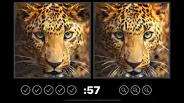 spot the difference image hunt problems & solutions and troubleshooting guide - 3