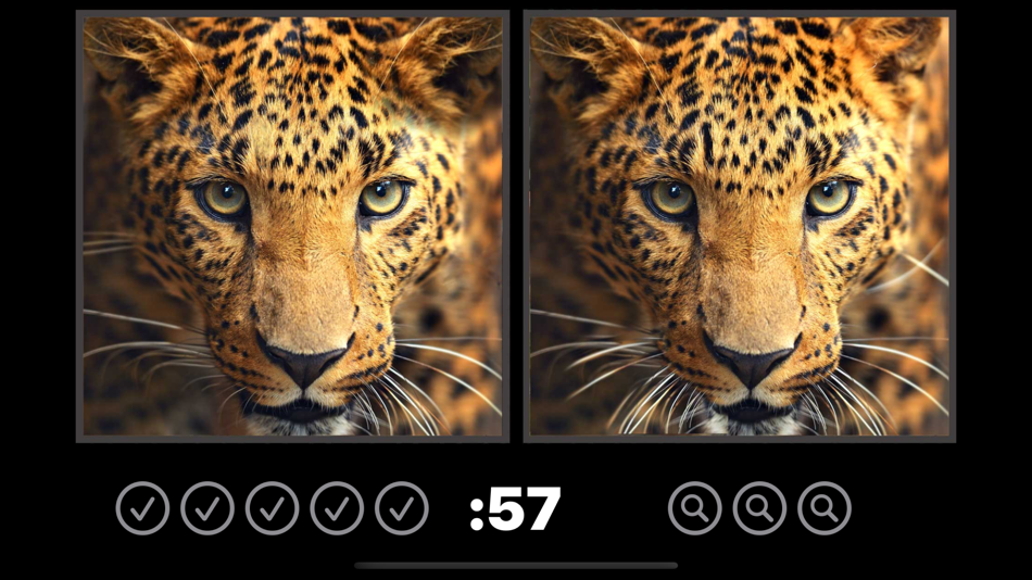 #4. Spot the Difference Image Hunt (iOS) Podle: Ryan Bittorf