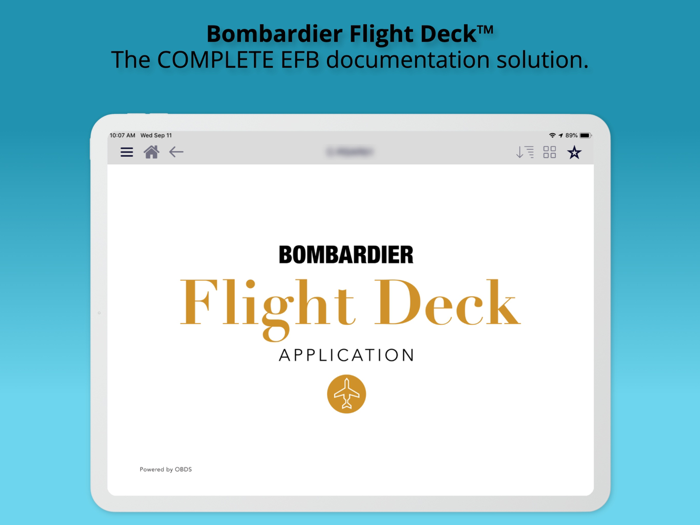 Bombardier Flight Deck 3