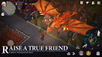 Dusk of Dragons: Survivors Screenshot