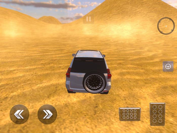 Luxury LX Prado Desert Driving