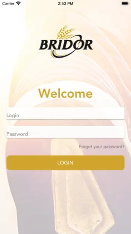 Game screenshot Bridor - Wellness mod apk