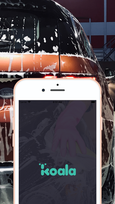 Koala Car Wash Screenshot