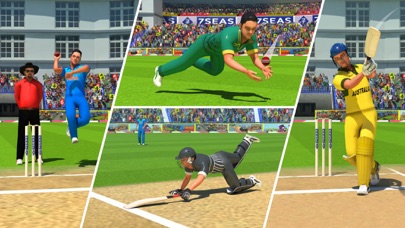World Cricket Champions League Screenshot