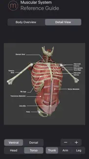 muscle study guide iphone screenshot 4