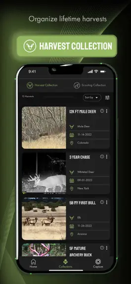 Game screenshot Harvest Score apk
