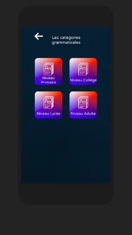 Game screenshot Questionnaire en Grammaire hack