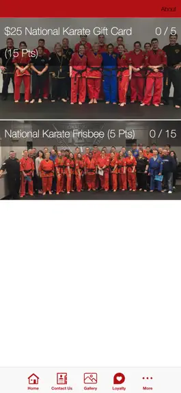 Game screenshot National Karate Schools hack